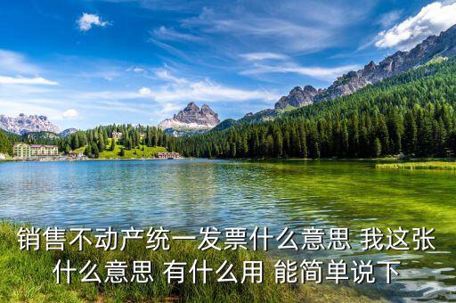 納稅人銷售取得的不動(dòng)產(chǎn)是什么意思，納稅人銷售其取得的不動(dòng)產(chǎn)包含其他個(gè)人嗎