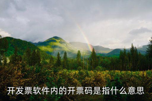手工發(fā)票代碼什么意思，請問我發(fā)票代碼第8位9位分別是BK是什么意思