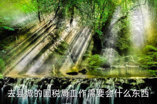 國(guó)家稅務(wù)局都要會(huì)什么，稅務(wù)局工作需要點(diǎn)什么