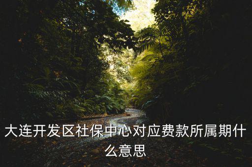 社保所屬期是什么意思，大連開(kāi)發(fā)區(qū)社保中心對(duì)應(yīng)費(fèi)款所屬期什么意思