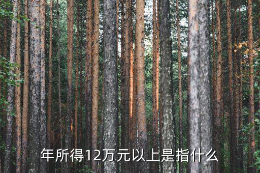 年所得12萬(wàn)指的是什么意思，年所得12萬(wàn)元以上是指什么