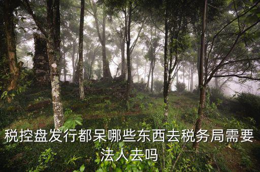 辦理稅控盤去什么地方，稅控盤發(fā)行都呆哪些東西去稅務(wù)局需要法人去嗎