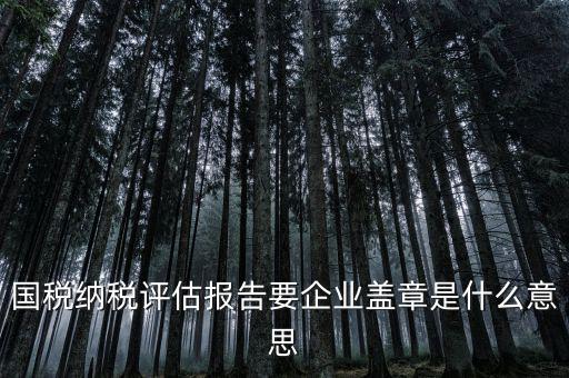 稅務國別報告是什么意思，國稅納稅評估報告要企業(yè)蓋章是什么意思