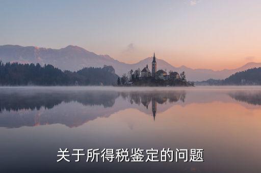 關于所得稅鑒定的問題