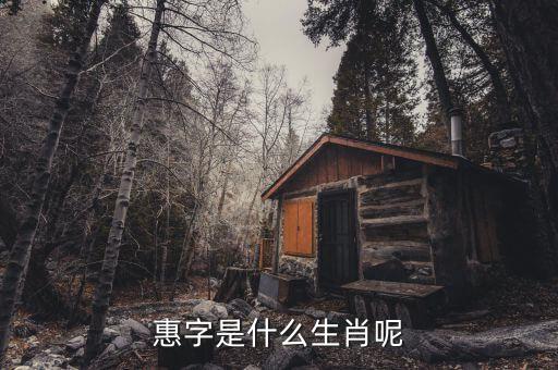 惠稅無(wú)憂的密碼是什么，自噴漆稅收商品編碼是多少