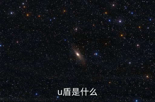 對外支付是什么，u盾是什么