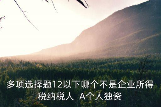 什么納稅人，多項(xiàng)選擇題12以下哪個(gè)不是企業(yè)所得稅納稅人  A個(gè)人獨(dú)資