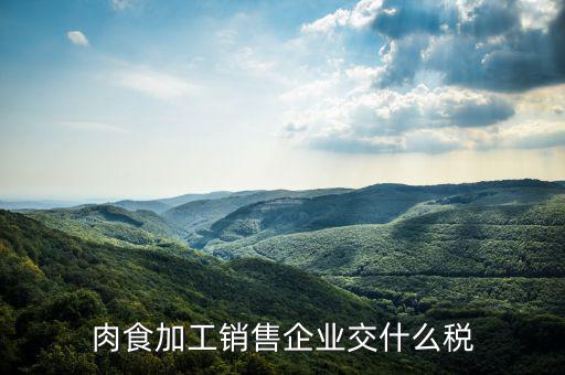賣肉類交什么地稅，批發(fā)肉類的稅是多少