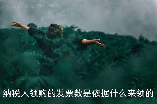 為什么領(lǐng)票人是納稅人，發(fā)票領(lǐng)購(gòu)簿上的章子與納稅人名稱不一樣是怎么回事