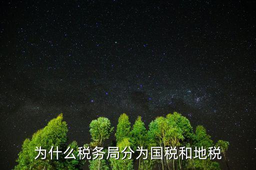 稅務(wù)局分什么稅務(wù)局，國(guó)稅局和地稅局是怎么分的