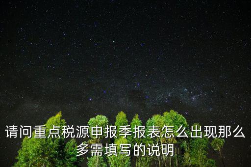 重點(diǎn)稅源申報(bào)要填什么，重點(diǎn)稅源申報(bào)表怎樣填
