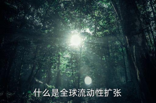 什么叫非居民風(fēng)險(xiǎn)，為什么歐洲央行負(fù)債資金來(lái)源于非居民
