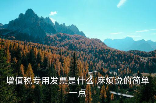 增值稅專用發(fā)票是什么 麻煩說的簡(jiǎn)單一點(diǎn)