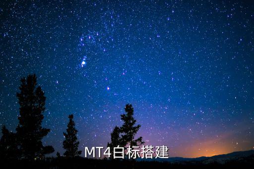 稅務(wù)系統(tǒng)為什么進(jìn)行容災(zāi)建設(shè)，小微企業(yè)該購(gòu)買什么樣的服務(wù)器涉及生產(chǎn)倉(cāng)儲(chǔ)銷售和財(cái)務(wù)等  搜