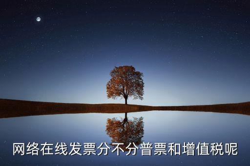 在線發(fā)票是什么，網(wǎng)絡(luò)在線發(fā)票分不分普票和增值稅呢