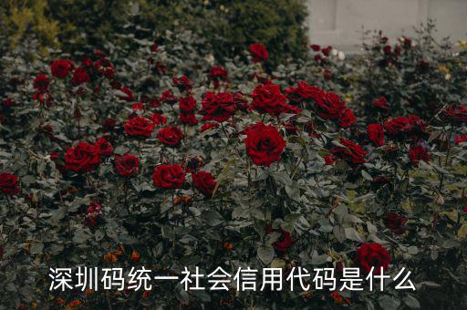 統(tǒng)一社會信用代碼指什么影響，深圳碼統(tǒng)一社會信用代碼是什么