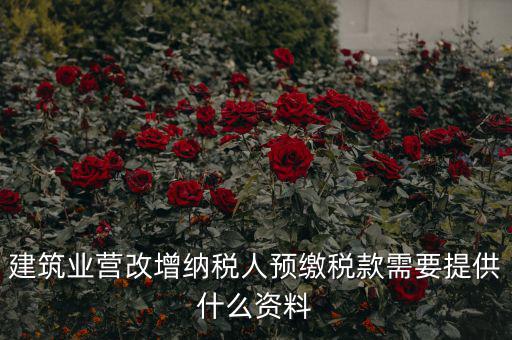 建筑業(yè)營改增納稅人預繳稅款需要提供什么資料
