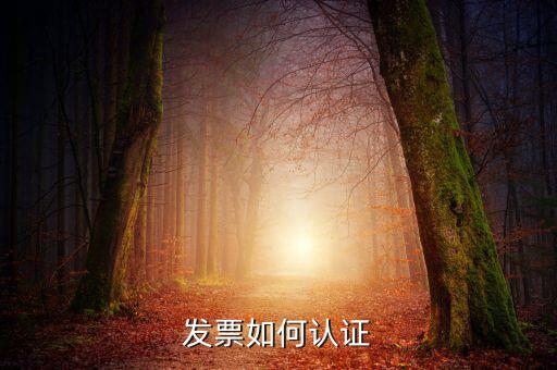發(fā)票通過什么認證，關(guān)于發(fā)票認證哪些發(fā)票需要認證