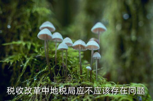 稅收改革中地稅局應不應該存在問題
