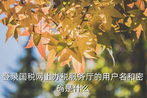 江蘇國(guó)稅電子稅務(wù)局登錄用戶名是什么，江蘇國(guó)稅網(wǎng)上辦稅服務(wù)廳的用戶名是什么
