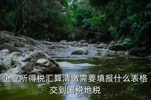 匯算清繳填寫什么表格，請教關(guān)于企業(yè)所得稅匯算清繳中需要填寫的表格的一些問題