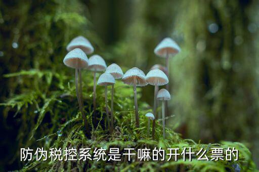 什么是稅控系統(tǒng)數(shù)據(jù)，金稅盤是什么