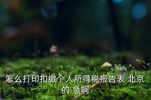 北京打印個(gè)稅需要什么資料，怎么打印扣繳個(gè)人所得稅報(bào)告表 北京的 急啊