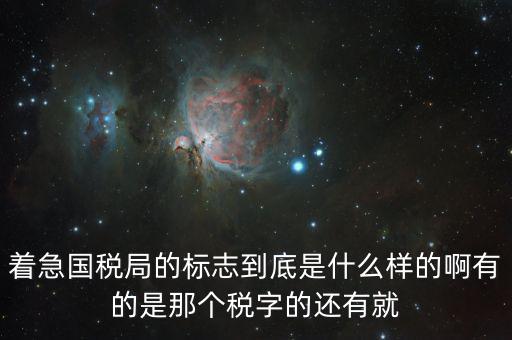 稅優(yōu)識別碼是什么樣的，納稅人辨認(rèn)號和代碼是1樣的