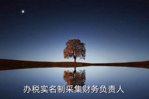 什么是實(shí)名辦稅，辦稅實(shí)名制采集財(cái)務(wù)負(fù)責(zé)人