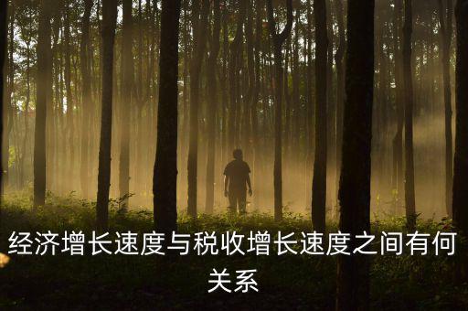 稅收增速是什么，經(jīng)濟(jì)增長(zhǎng)速度與稅收增長(zhǎng)速度之間有何關(guān)系