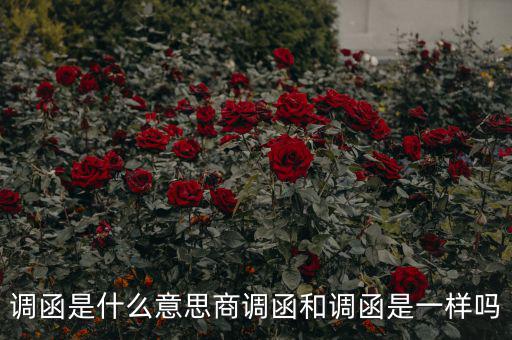 國稅調函是什么意思，國稅要來函條是怎么回事啊