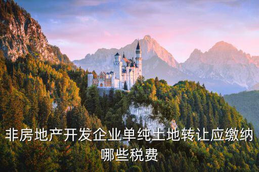 非房地產(chǎn)開(kāi)發(fā)企業(yè)單純土地轉(zhuǎn)讓應(yīng)繳納哪些稅費(fèi)