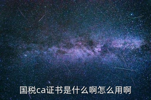 報稅的ca證書什么樣，稅務ca是什么意思是聯(lián)通ca證書嗎