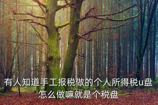 繳個(gè)稅用什么盤申報(bào)，個(gè)人所得稅報(bào)盤怎么弄