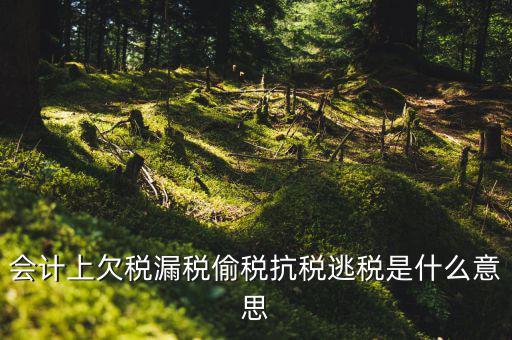 欠繳稅額是什么意思，增值稅申報(bào)表第26欄實(shí)收出口開(kāi)具專(zhuān)用繳款書(shū)退稅額指的是什么