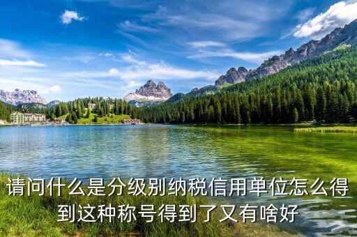 請問什么是分級(jí)別納稅信用單位怎么得到這種稱號(hào)得到了又有啥好