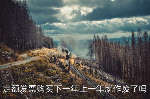 定額發(fā)票購(gòu)買(mǎi)下一年上一年就作廢了嗎
