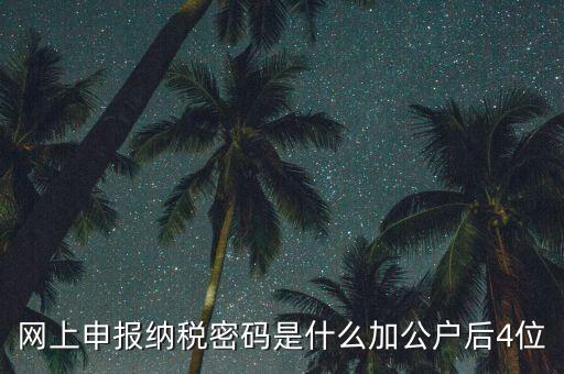 網(wǎng)上如何申報(bào)國稅密碼是什么，國稅第一次網(wǎng)上申報(bào)的登陸密碼是什么