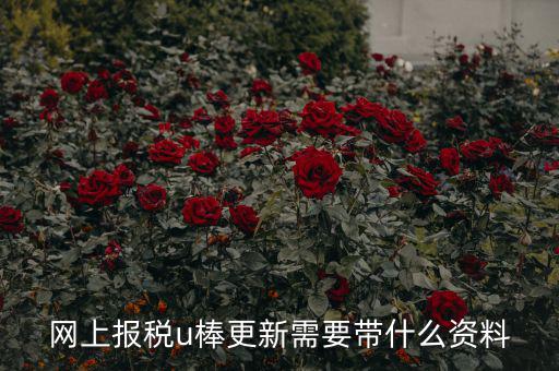 稅務(wù)u棒長什么樣，網(wǎng)上報稅u棒更新需要帶什么資料