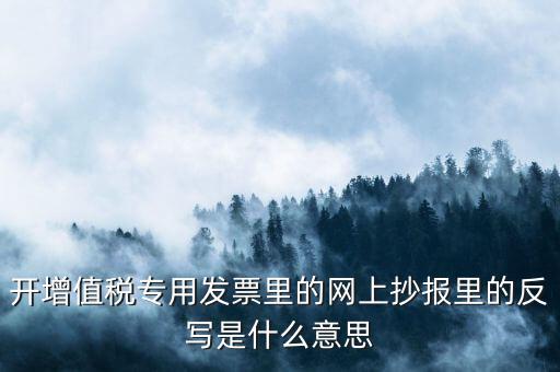 開票系統(tǒng)反寫是什么意思，開增值稅專用發(fā)票里的網(wǎng)上抄報(bào)里的反寫是什么意思