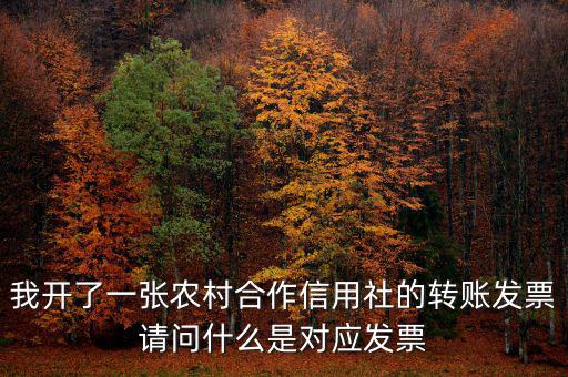 我開(kāi)了一張農(nóng)村合作信用社的轉(zhuǎn)賬發(fā)票請(qǐng)問(wèn)什么是對(duì)應(yīng)發(fā)票