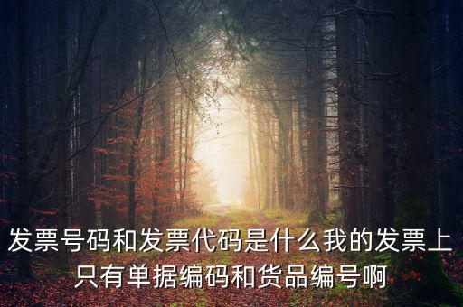 發(fā)票代碼指什么地方，增值稅普通發(fā)票的12位發(fā)票代碼在什么位置