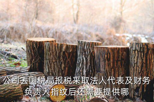 公司去國稅局報(bào)稅采取法人代表及財(cái)務(wù)負(fù)責(zé)人指紋后還需要提供哪