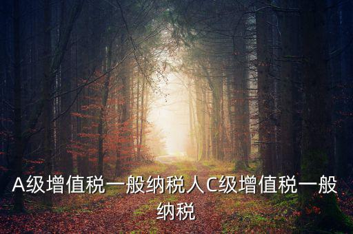b級納稅人是什么意思，A級增值稅一般納稅人C級增值稅一般納稅