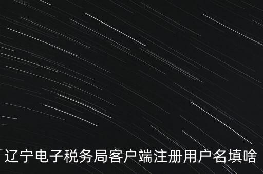 網(wǎng)上辦稅帳號(hào)是什么，登錄國(guó)稅網(wǎng)上辦稅服務(wù)廳的用戶名和密碼是什么