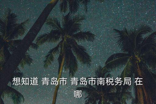 青島稅務局在什么地方，青島國稅局在什么位置在什么路上
