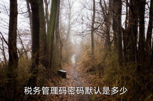 湖北國稅盤原始密碼是什么意思，湖北地稅網(wǎng)絡(luò)發(fā)票登陸密碼是什么急急急