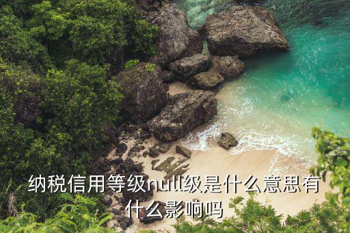 納稅信用等級(jí)是什么，納稅信用等級(jí)null級(jí)是什么意思有什么影響嗎