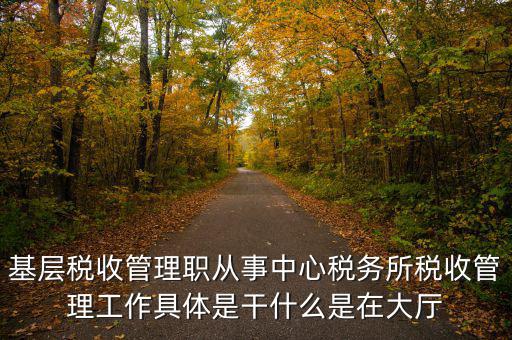 稅源管理干什么，基層稅收管理職從事中心稅務所稅收管理工作具體是干什么是在大廳