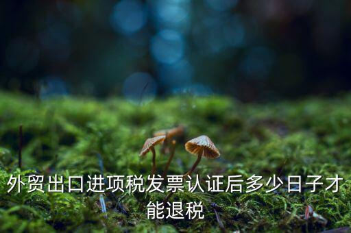 什么時候可以退稅，退稅是按進項發(fā)票認證的時間來退稅的